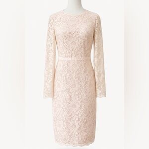 Maggy London Cream Lace Dress Blush Lined Sheath Romantic Wedding Guest